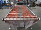 2013 Pizzamatic Band Conveyor